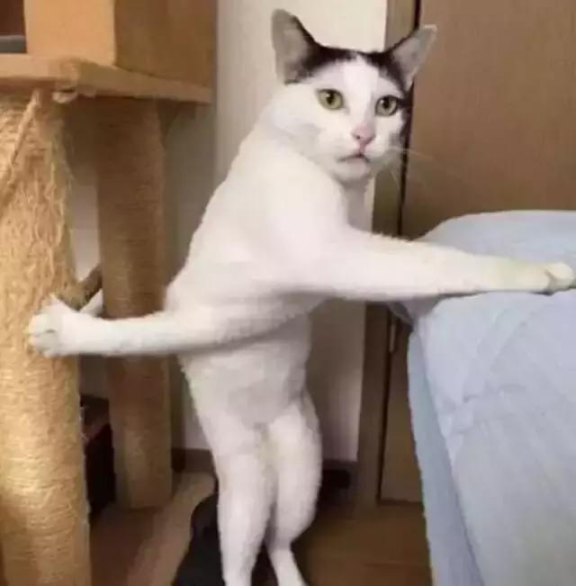 经典搞笑整蛊头像微信，经典搞笑整蛊头像（精选头像丨恶搞系列头像）