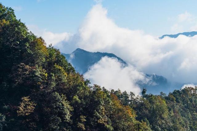 梵净山在哪里呢，梵净山在哪里个省哪个市（北半球最古老的生态乐园）