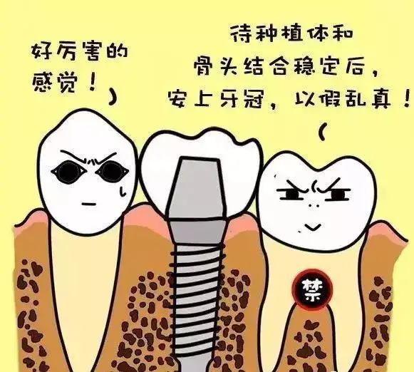 种植牙要多久才能种好,为什么60岁后不种植牙