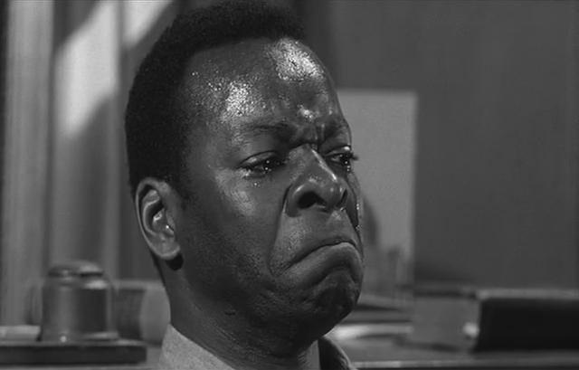 知更鸟的寓意和象征，知更鸟象征什么（《杀死一只知更鸟》）