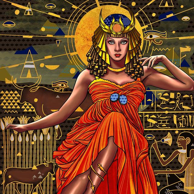 库拉索芦荟的功效与作用，库拉索芦荟（为何库拉索芦荟能一枝独秀）