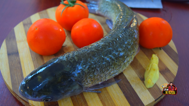 番茄鱼的家常做法，番茄鱼鱼的正宗做法（番茄鱼家常做法）