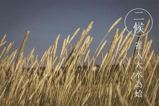 空庭得秋长漫漫寒露入暮愁衣单什么意思，秋来寂寞空满庭（寒露：露寒凝霜，已至深秋）