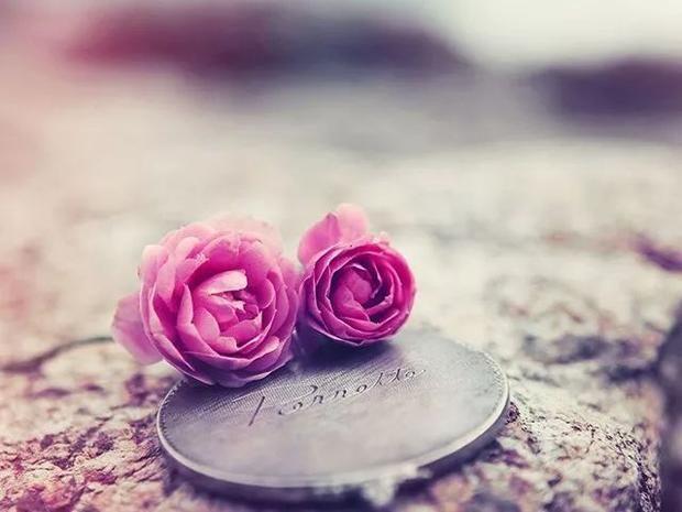 恭喜你 又熬过了一天 并且中奖了 再来一天，恭喜你成为尊贵的宝马车主,愿蓝天白云（可爱到爆的沙雕句子图片）