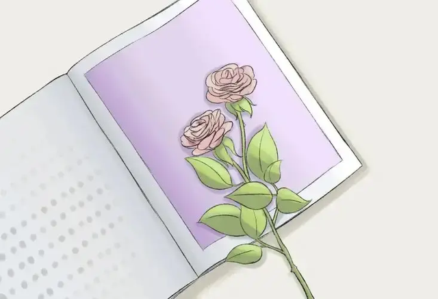 imissyou是什么意思中文（的三种翻译来概括一段感情）