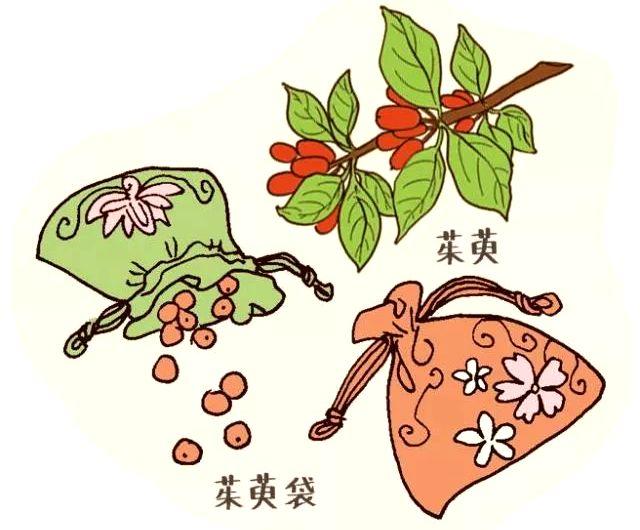 重阳节为什么要登高(为什么重阳节有登高,佩茱萸,饮菊花酒的习俗)