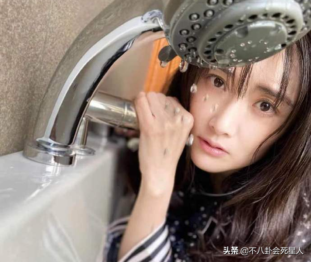 天仙配主要人物有哪些，天仙配的男女主角是谁（《天仙配》群星现状）