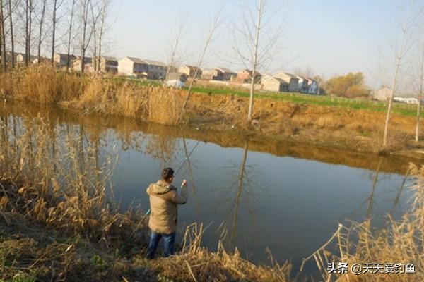 传统钓鲫鱼的方法和技巧，钓鲫鱼 技巧（还是这种钓法最好用）