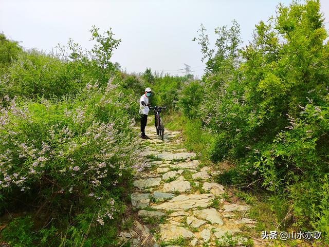 秦皇古道在哪呢，秦皇古道的简介（一座因唐僧晾经而得名的山岭）