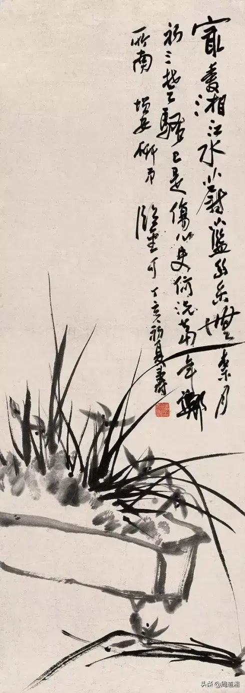 草的简笔画怎么画，猪笼草的简笔画怎么画（兰草的画法）