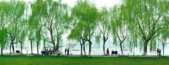 杭州西湖文化景观，西湖必去的十大景点介绍（西湖三十景，最新绝美大片亮相）
