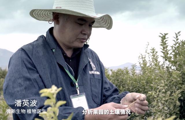 什么是土壤的透气性和保水性，通气性透水性最好的土壤是什么（团粒构造土与排水性、保水性、透气性）