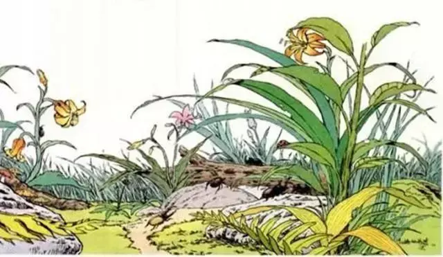 羡慕的近义词，尊敬的近义词（小学1-6年级语文近义词/反义词汇总）