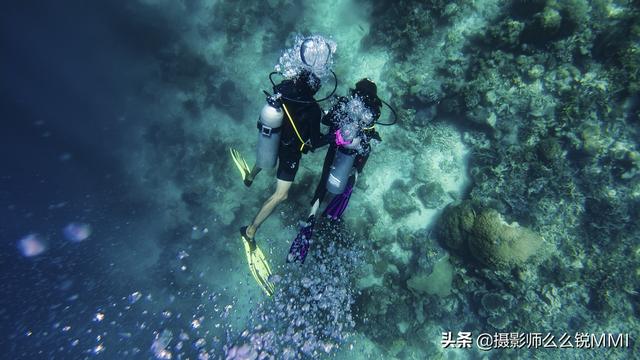 梦幻天堂游戏手机版下载，梦幻天堂经营手游官网最新版下载安装安卓版appv45.0.2（我才明白什么叫做梦幻天堂）