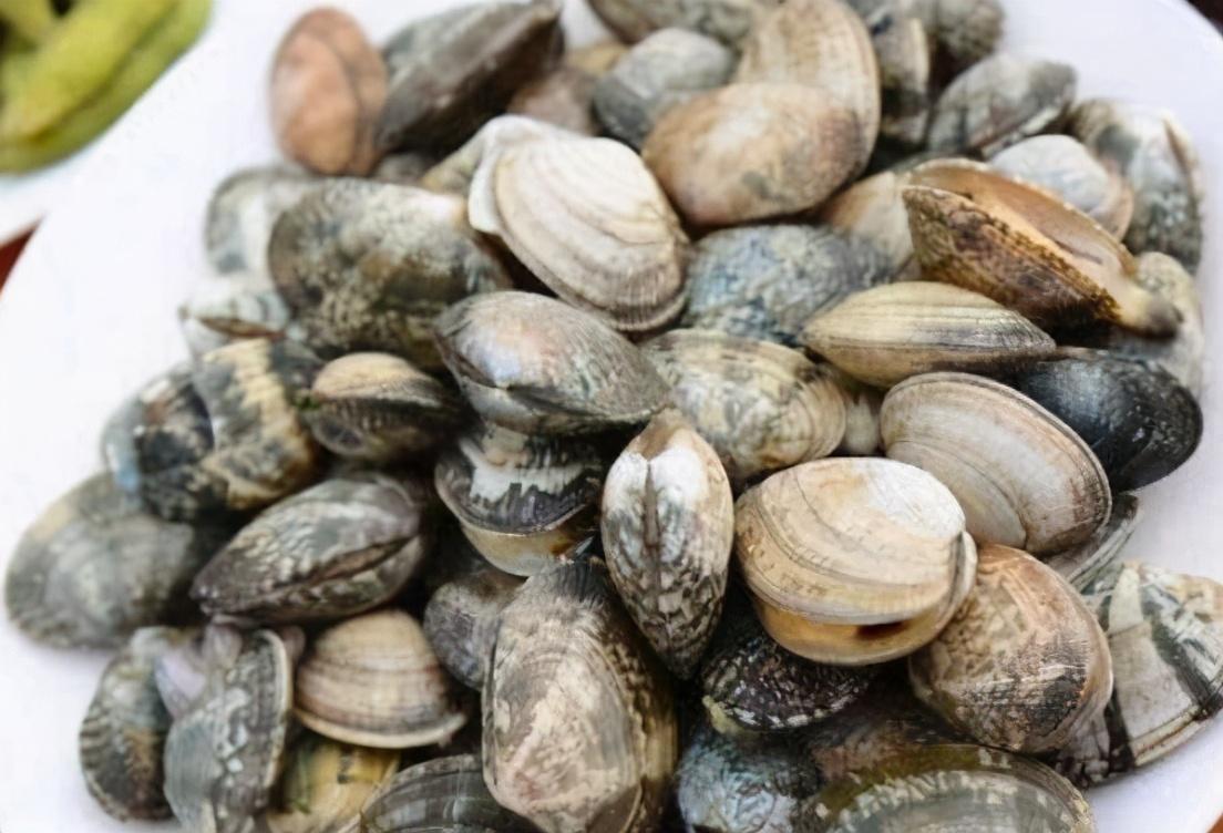 花甲吐沙要多长时间，花甲吐沙多长时间最好（20分钟吐干净）