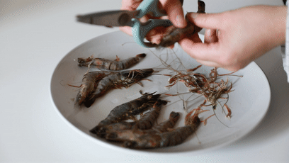 清蒸虾的做法及调料，清蒸白灼虾正确做法（只要一味调料就很好吃）