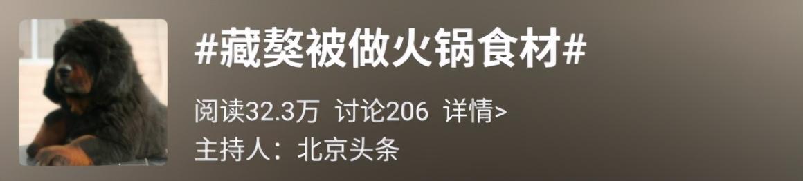 藏獒可以活多少年 藏獒最多能活几年