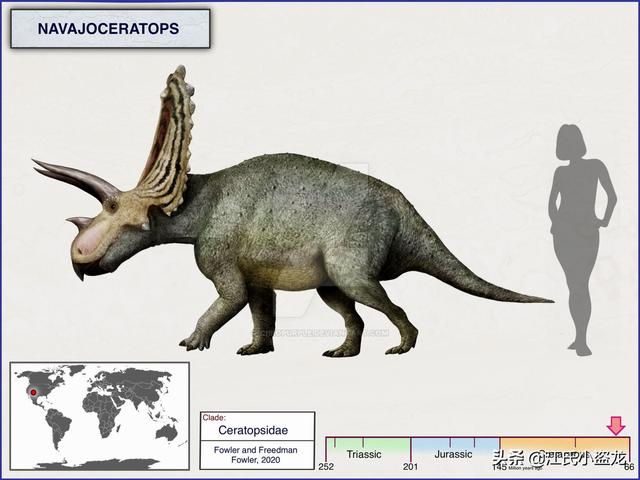re网名的含义，Re微信昵称（2020古生物学家到底命名了多少种恐龙）