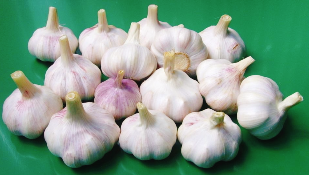 圖片[3]-大蒜的5個保存方法 不易壞 也不長芽-起舞食譜網