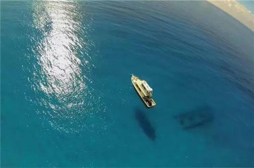 老人与海是一部什么小说，老人与海小说百科（一部简短但内核深厚的伟大小说）