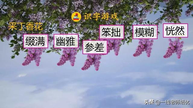 平淡无味的意思，清淡无味的意思（部编版六年级上册第2课《丁香结》重点知识点+图文解读）