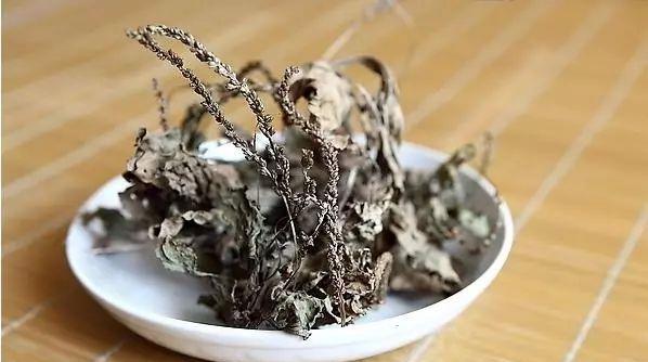 车前草的功效与作用，车前草的功效与作用可以降尿酸吗（“它”是痛风的“死对头”）