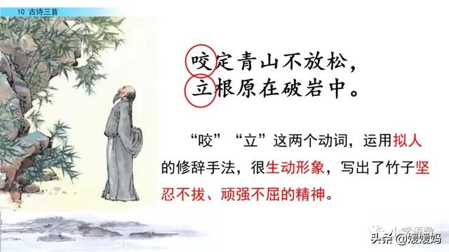 立根原在破岩中，立根原在破岩中里的破岩还是什么（六年级下册语文第10课《古诗三首》图文详解及同步练习）