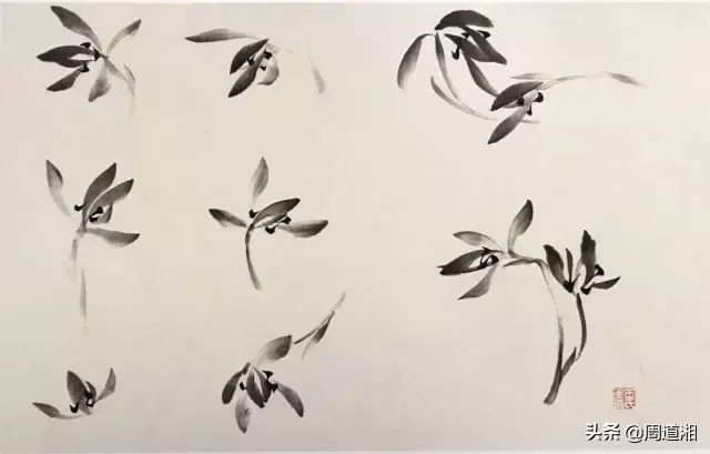草的简笔画怎么画，猪笼草的简笔画怎么画（兰草的画法）