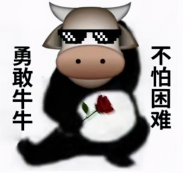 简短有气势的队名，简短有气势的队名加口号（剑三大师赛这个队伍）