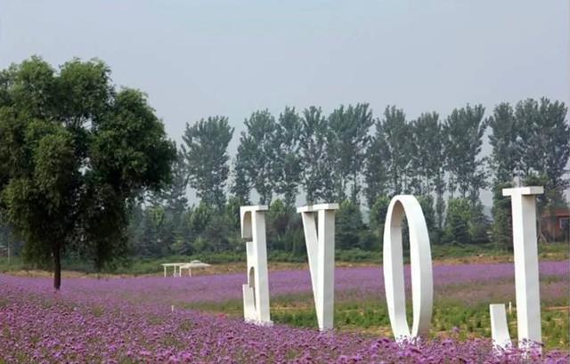 郑州薰衣草庄园，等夏天来了一起去看薰衣草