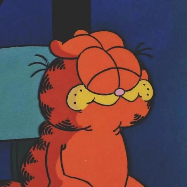 萌萌的加菲猫可爱图片，加菲猫咪图片大全可爱头像（加菲猫 壁纸 表情包）