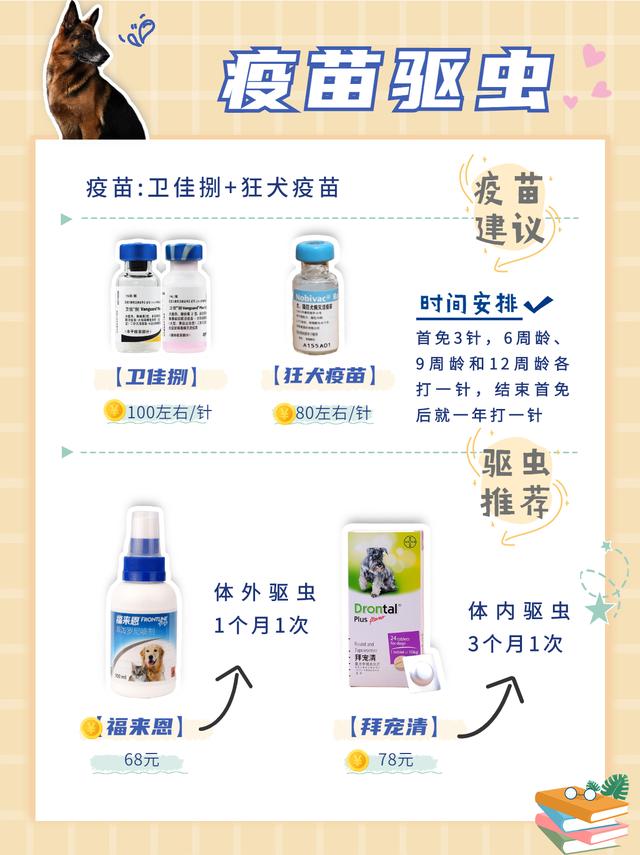 德国牧羊犬好养吗，德国牧羊犬好养吗怎么养（德牧经济喂养攻略分享）