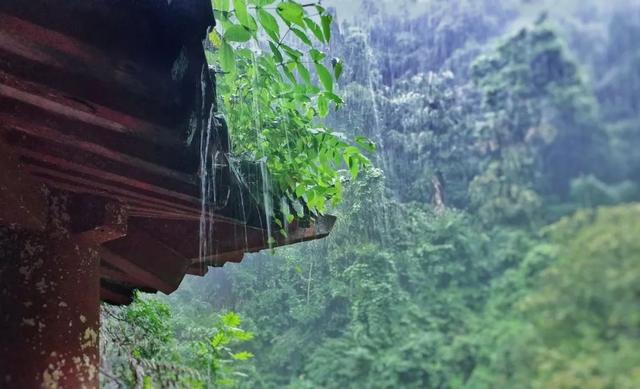 含有雨字的诗句有哪些，含有雨字的诗句有哪些二年级（8首最美的春雨诗词）