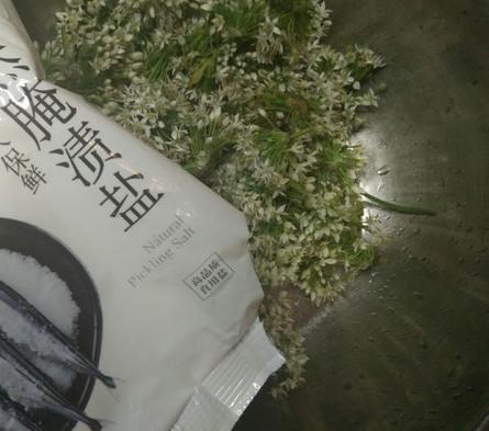 韭菜花的腌制方法，韭菜花的腌制方法及步骤视频（这才是韭菜花的正确腌制做法）