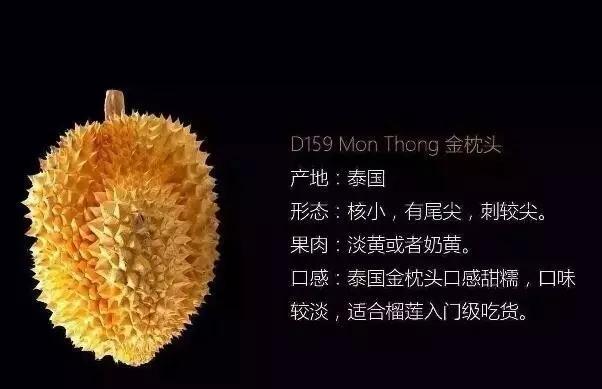 榴莲死包是什么意思，榴莲死包是什么样的（金枕、猫山王、甲仑、干尧、青尼）