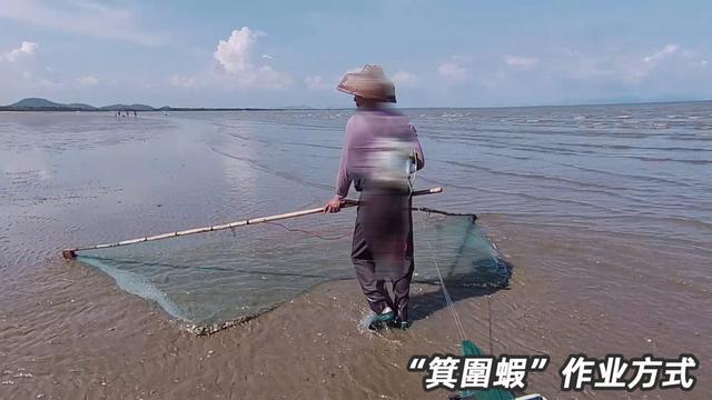 为什么叫基围虾，广东老前辈让我从它的祖宗说起
