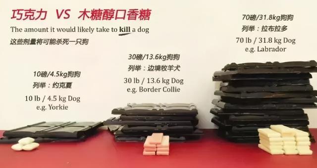 木糖醇的危害，木糖醇的功效与副作用（狗狗偷吃蛋糕后身亡）