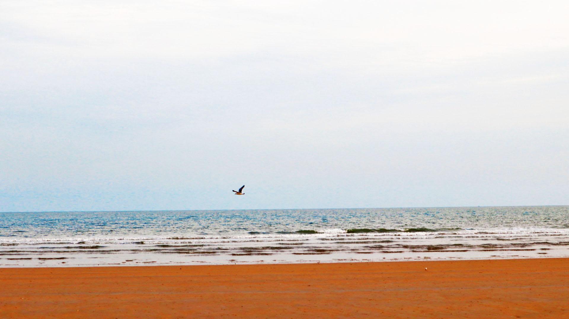 离济南最近的海边(滨州海边沙滩在哪里)