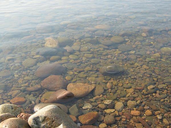 魂牵梦绕的拼音，魂牵梦萦的读音（魂牵梦绕——鸭绿江）