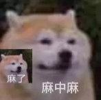 迅雷下载时出现：任务包含违规内容无法下载！，迅雷下载时出现（凉了7年的快播）