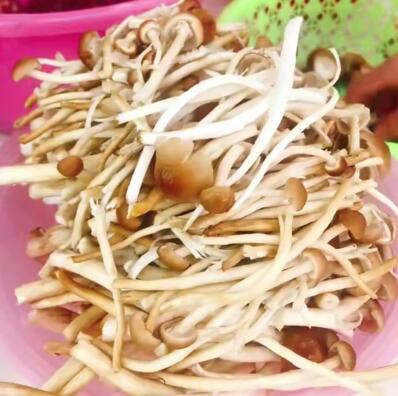 圖片[3]-【蘑菇下飯菜】做法步驟圖 我們家隔三差五做一回 一次多吃2碗-起舞食譜網