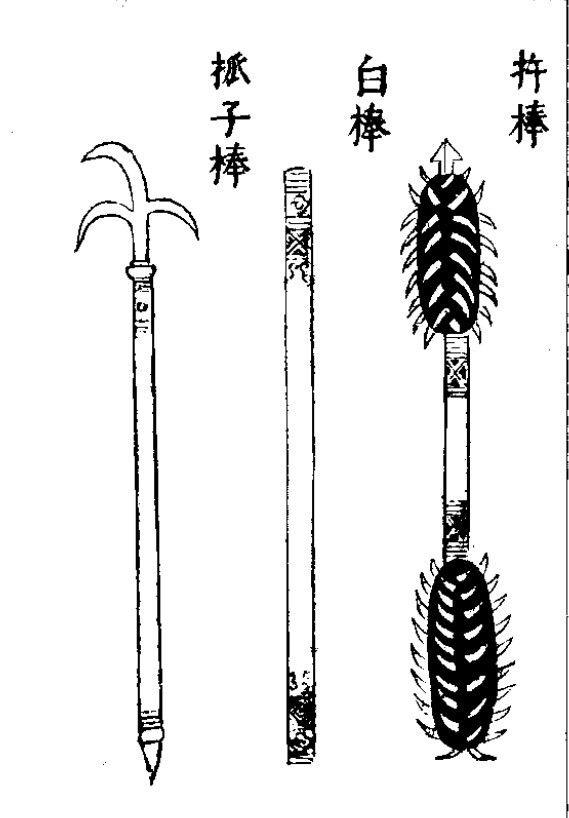 天灵盖是哪里，天灵盖是哪里人的称呼（大家对于狼牙棒这武器到底有多少误解）