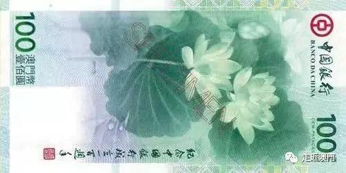 澳门货币的意义，澳门货币的意义是什么（带你见识110多年前澳门发行的首批货币）