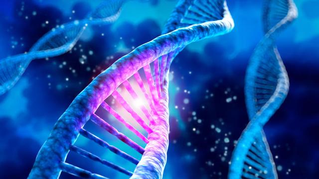 硅基生物是什么，硅基生物需要呼吸吗（科学家称火星上长蘑菇）