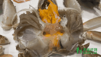 螃蟹喜欢吃什么，螃蟹吃什么（公蟹好吃还是母蟹好吃）