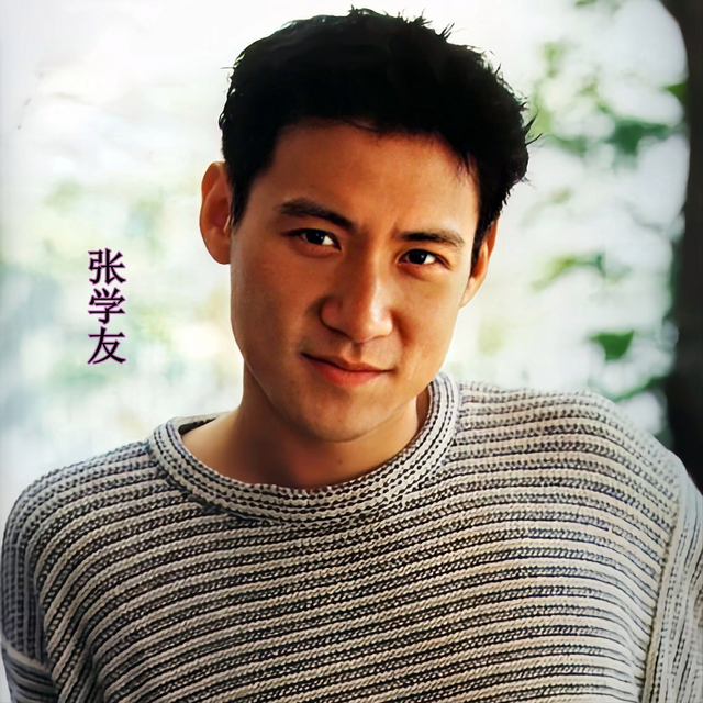 四大天王排行榜，贵称“四大天王”的男明星