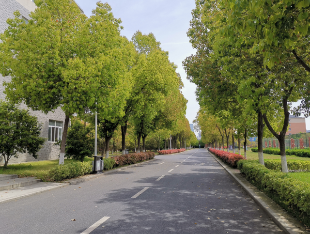 民办合肥滨湖职业技术学院是几本_是本科还是专科学校，合肥滨湖职业技术学院是本科吗（合肥滨湖职业技术学院招生“遇冷”）