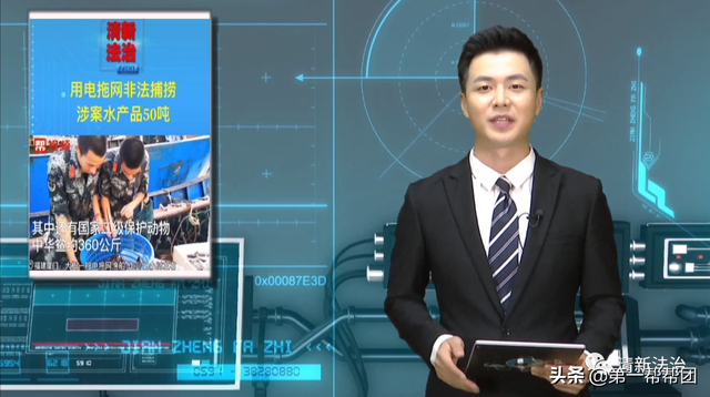 鲎是保护动物吗，鲎是保护动物吗为啥（休渔期非法捕捞国家保护动物中华鲎）