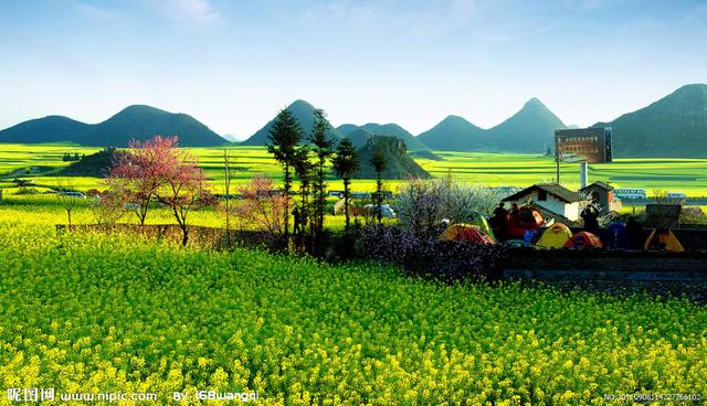 村居古诗的意思，村居古诗意思（为了主题的意象——解读古诗的一点心得）