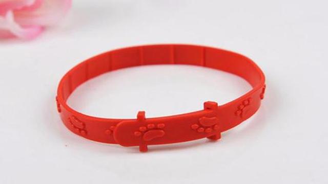 5招手把手教你如何防治跳蚤